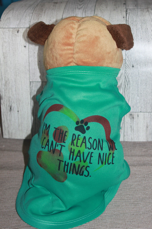 DOG SHIRT - I'm the reason we can't have nice things